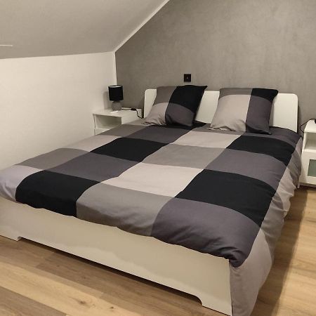 Le Business, Duplex Moderne Special Pro De Passage Appartement Sarreguemines Buitenkant foto