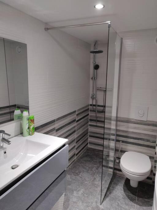 Le Business, Duplex Moderne Special Pro De Passage Appartement Sarreguemines Buitenkant foto