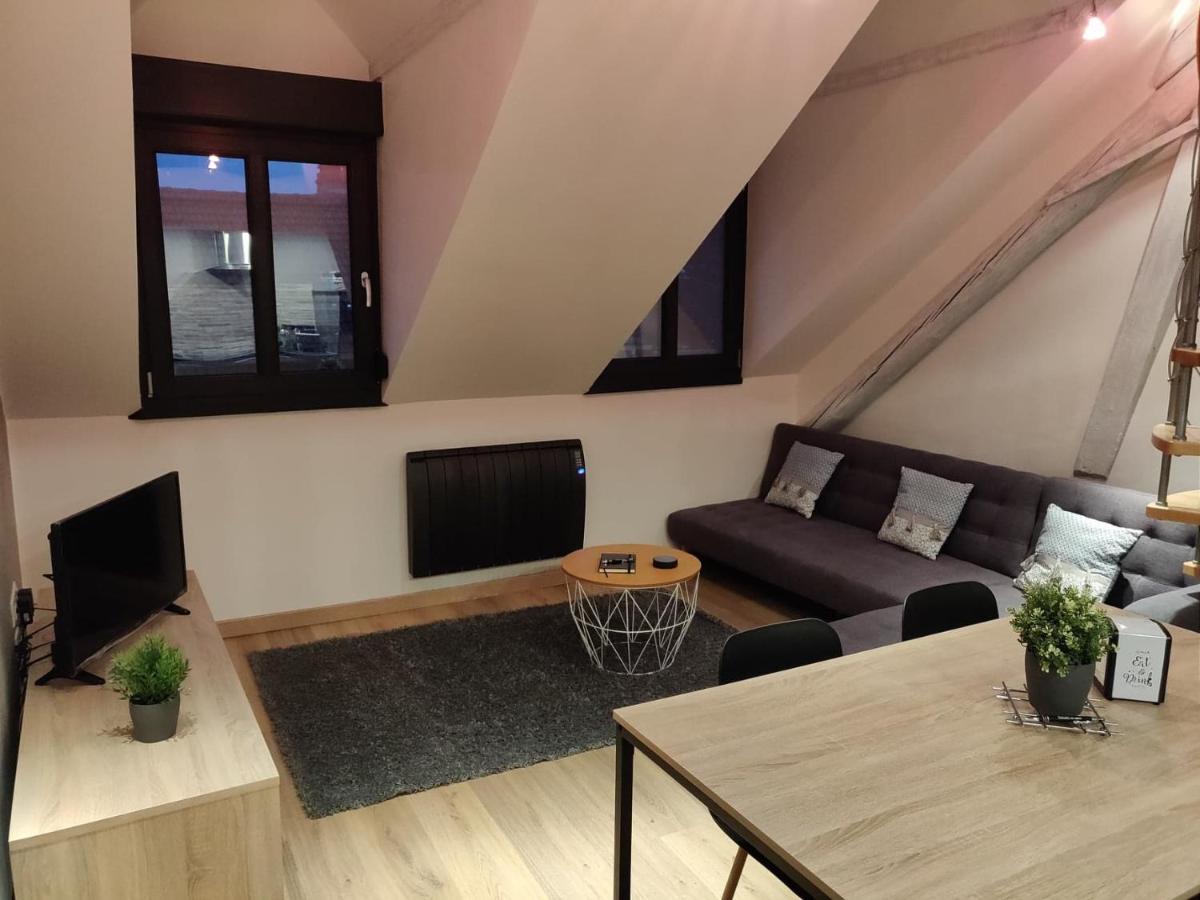 Le Business, Duplex Moderne Special Pro De Passage Appartement Sarreguemines Buitenkant foto